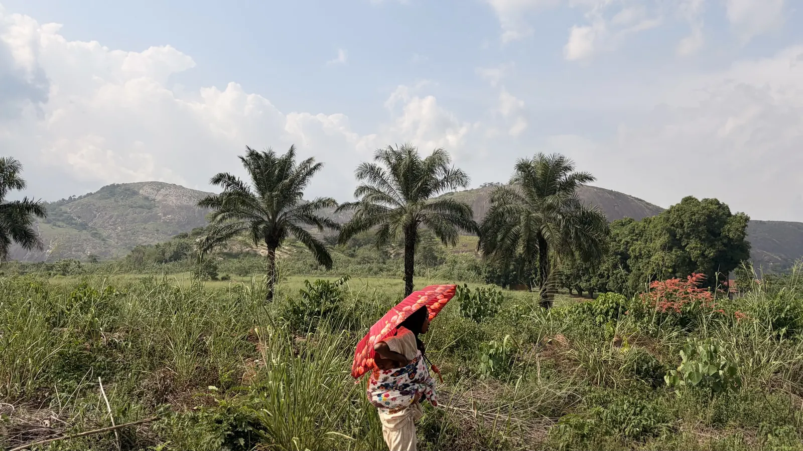 A woman carrying a child walks through farmland under a red umbrella, palm trees and hills behind her